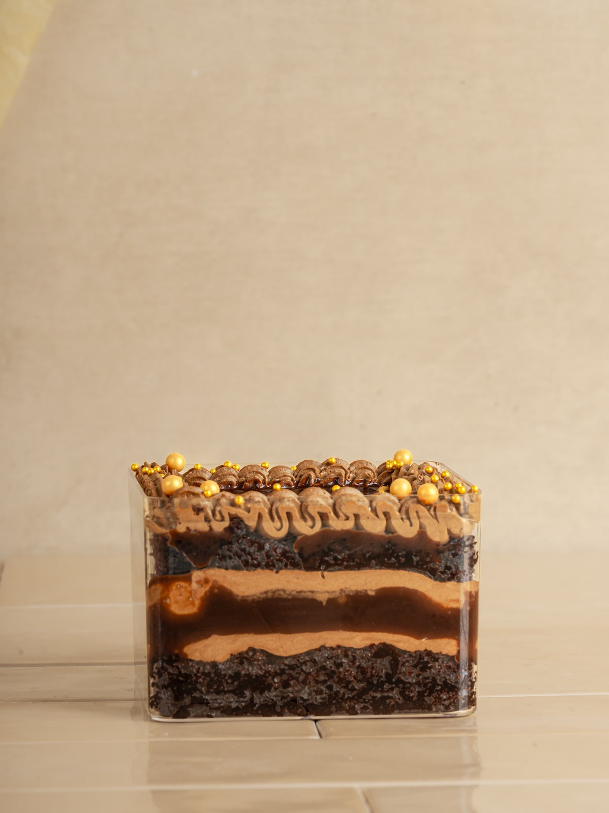 Chocolate Cake with fudge sauce & dark chocolate ganache