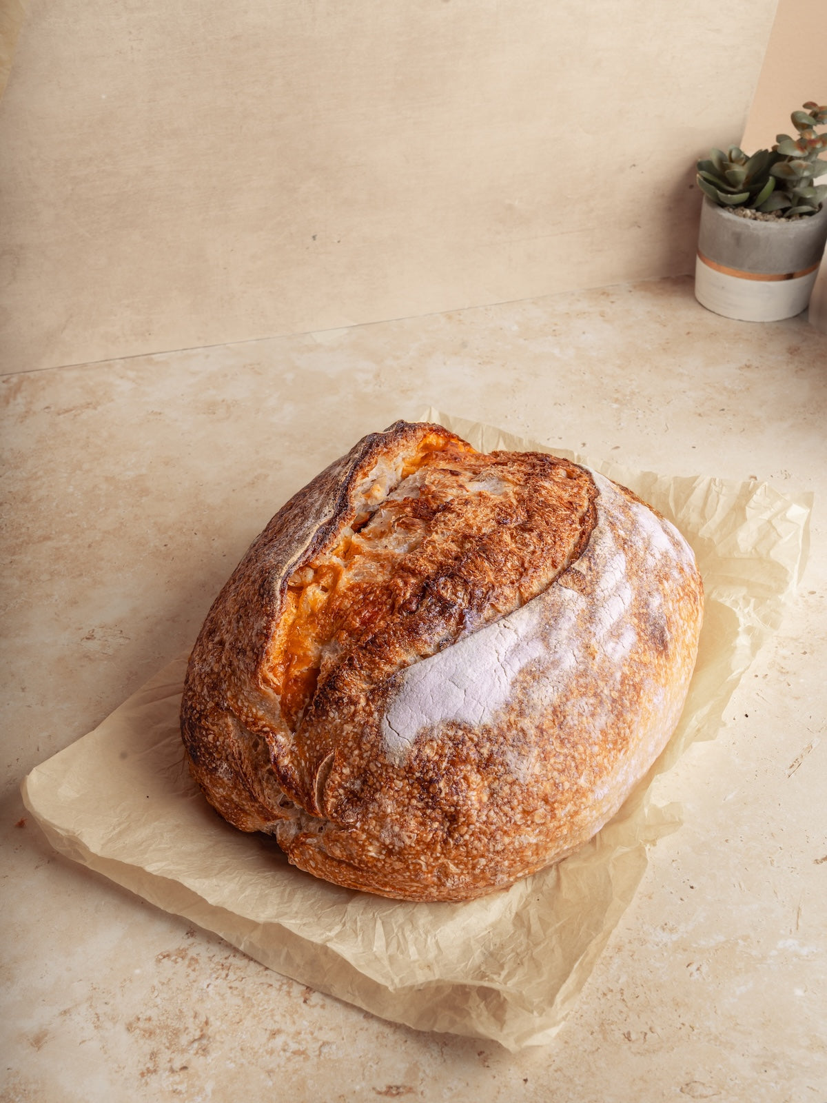 Garlic & Cheddar Cheese Sourdough