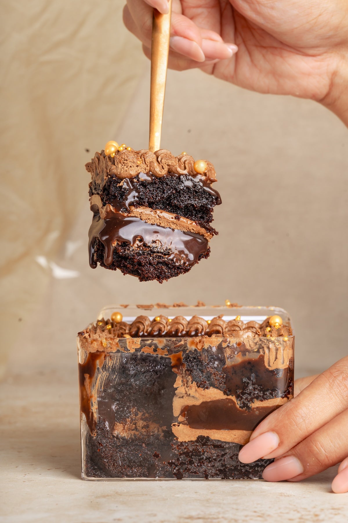 Chocolate Cake with fudge sauce & dark chocolate ganache