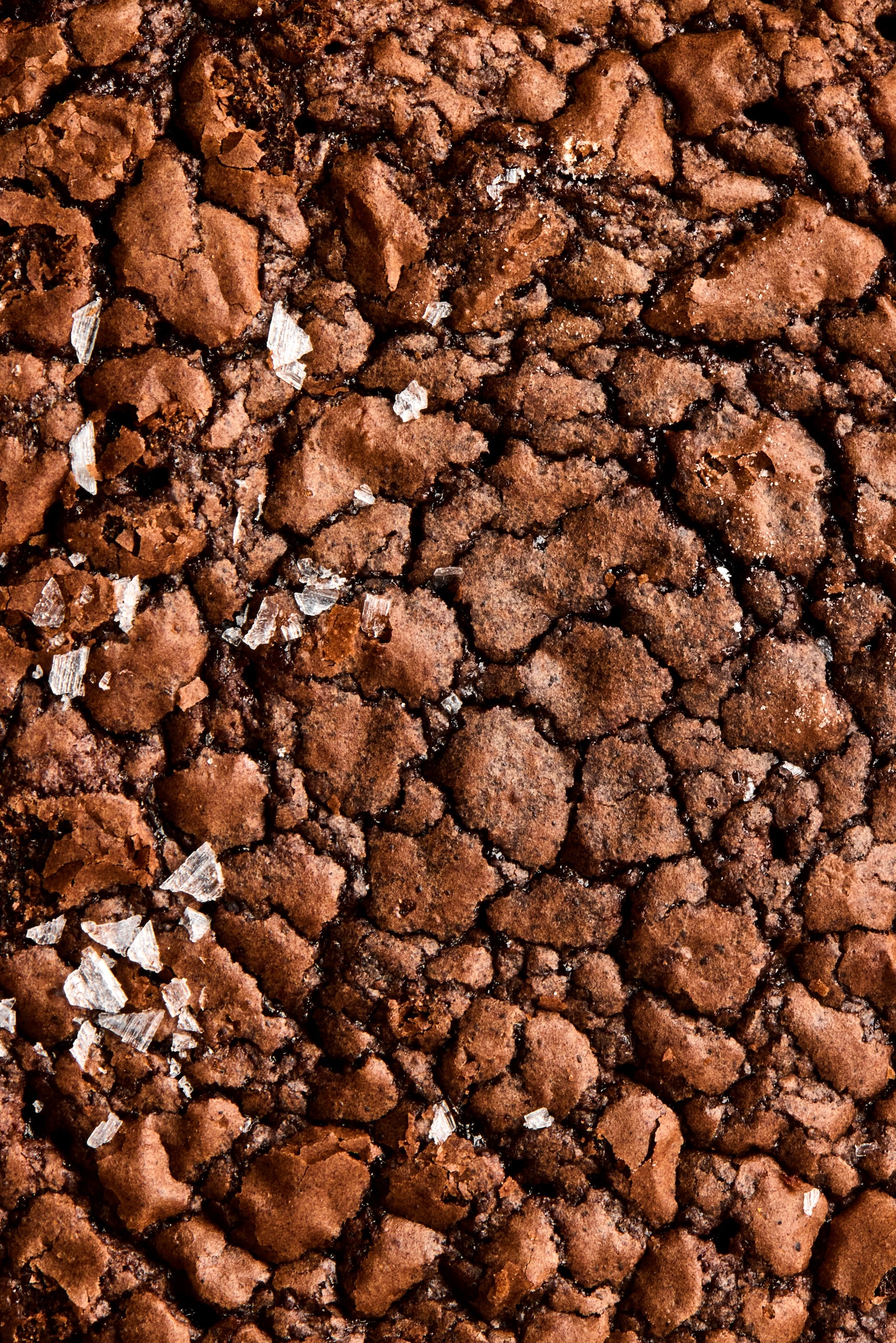 Brownie cookie